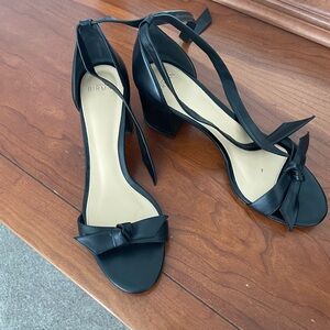 Alexandre Birman block heel sandals. Worn once to a wedding for 2 hours.